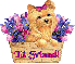 Hi Friend