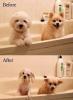 before/after