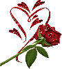 Red Rose