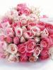  	love rose flowers