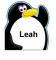 Leah penguin