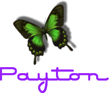 Payton color change butterfly