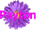 Payton on purple flower