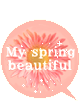 my spring beautiful