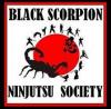 Ninjutsu Society
