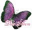  deeann, purple butterfly
