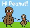 hi peanut!
