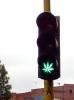 Marijuana traffic light