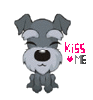 dog , kiss me