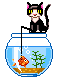 fishing kitty