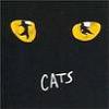 CATS the Musical