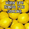 Lemon Bra
