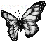 CRYSTAL BUTTERFLY