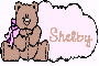Shelby name with pink teddy bear