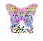 Rainbow Butterfly with Name