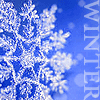 winter x3