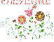 Cheyenne with Flowers