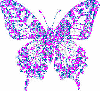 multy purple butterfly