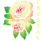 CRYSTAL ROSE COLORS