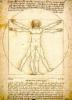 Homem de Vitruvio (pt) Leonardo da Vinci