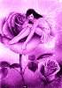 purple rose fairy