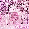 pink winter