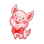 cute piggy