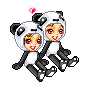 cute panda couple