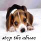 Stop the Abuse puppy