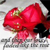 Faded Like a Rose