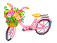 bike with butterfly