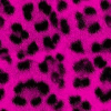 Cheetah ! (Pink)