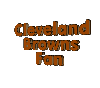 Cleveland Browns fan