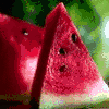 Yummie Fruit