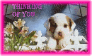Thinking of you-puppy with flowers