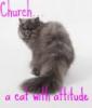 Church the Cat
