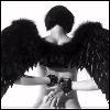 black & white avatar angel
