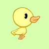 The duck