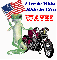 Harley Davidson and a Gekko (with flag)- Live to Ride Ride to Live Wayne