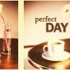 Coffee - Perfect Day