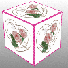 Heart with Pink Roses Cube