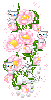 pink flowers and kittens