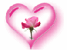 Heart, Rose