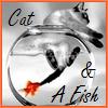 Cat & A Fish