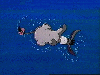 Eeyore Playing in Water (animated)