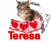 Cat-Teresa