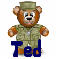 Military Soldier Teddy Bear (animated)- Ted