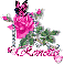 Ronette - Diamond Pink Rose