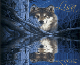 Wolf in the Woods (water reflection)- Lisa