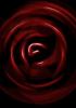 Swirling Rose